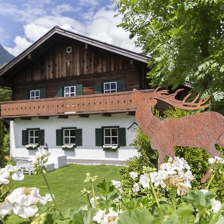 Forest Chalet, 15 Min To Salzburg Olt Town, And Most Beautiful Lakes, Secluded Location, 1,000 Sqm Garden, Mountainview, Panorama Sauna, Bath Whirlpool, Bbq&Bikes&Sunbeds For Free, Up To 10 P Golling an der Salzach Exterior photo
