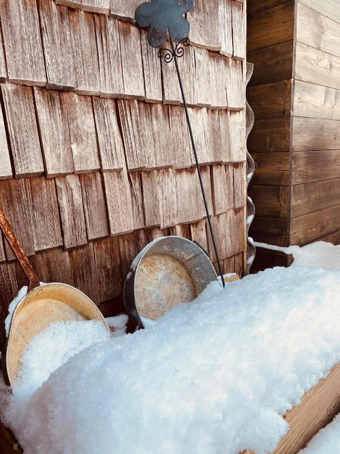 Forest Chalet, 15 Min To Salzburg Olt Town, And Most Beautiful Lakes, Secluded Location, 1,000 Sqm Garden, Mountainview, Panorama Sauna, Bath Whirlpool, Bbq&Bikes&Sunbeds For Free, Up To 10 P Golling an der Salzach Exterior photo