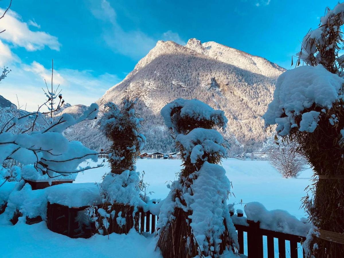 Forest Chalet, 15 Min To Salzburg Olt Town, And Most Beautiful Lakes, Secluded Location, 1,000 Sqm Garden, Mountainview, Panorama Sauna, Bath Whirlpool, Bbq&Bikes&Sunbeds For Free, Up To 10 P Golling an der Salzach Exterior photo