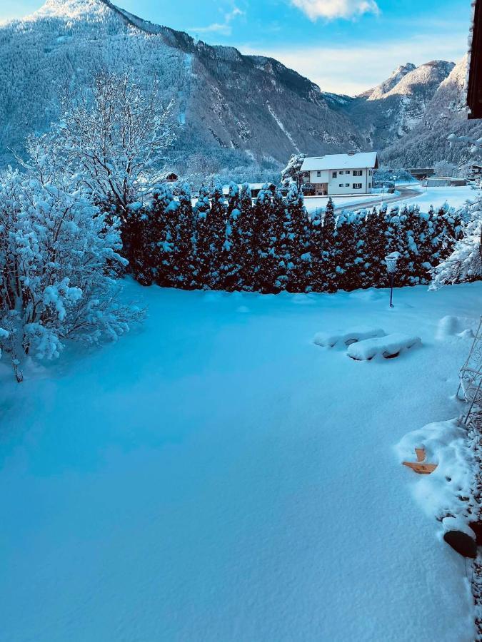 Forest Chalet, 15 Min To Salzburg Olt Town, And Most Beautiful Lakes, Secluded Location, 1,000 Sqm Garden, Mountainview, Panorama Sauna, Bath Whirlpool, Bbq&Bikes&Sunbeds For Free, Up To 10 P Golling an der Salzach Exterior photo