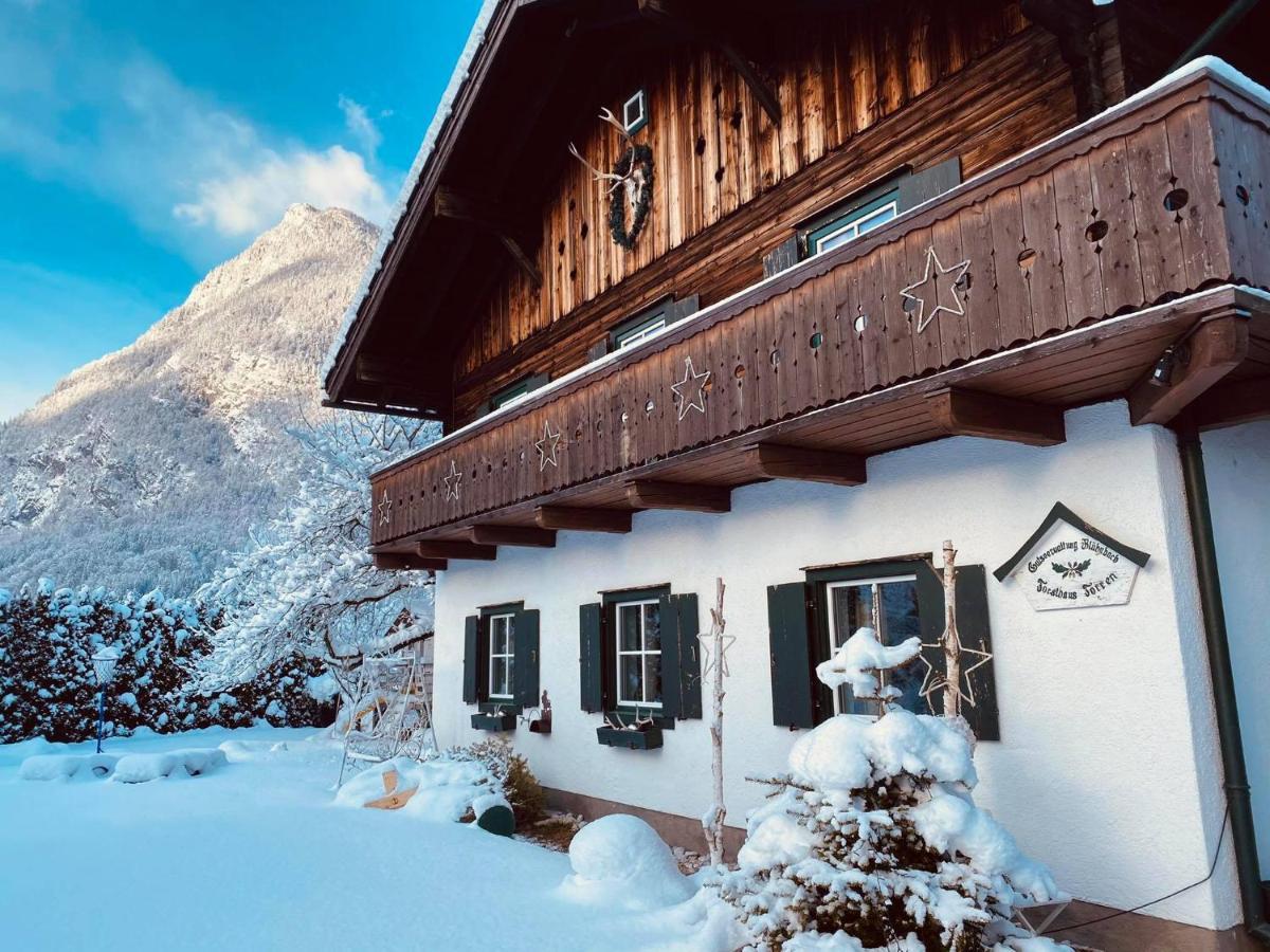 Forest Chalet, 15 Min To Salzburg Olt Town, And Most Beautiful Lakes, Secluded Location, 1,000 Sqm Garden, Mountainview, Panorama Sauna, Bath Whirlpool, Bbq&Bikes&Sunbeds For Free, Up To 10 P Golling an der Salzach Exterior photo