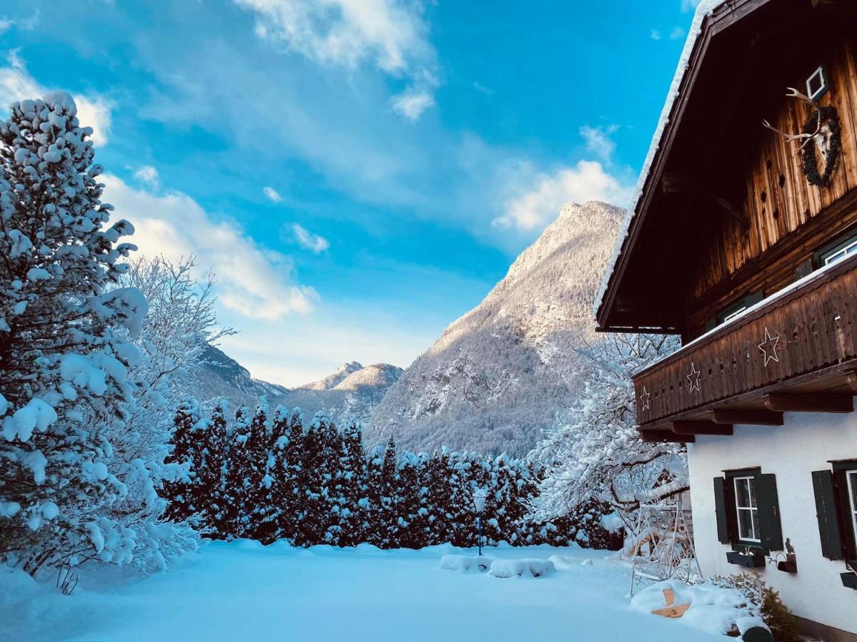 Forest Chalet, 15 Min To Salzburg Olt Town, And Most Beautiful Lakes, Secluded Location, 1,000 Sqm Garden, Mountainview, Panorama Sauna, Bath Whirlpool, Bbq&Bikes&Sunbeds For Free, Up To 10 P Golling an der Salzach Exterior photo