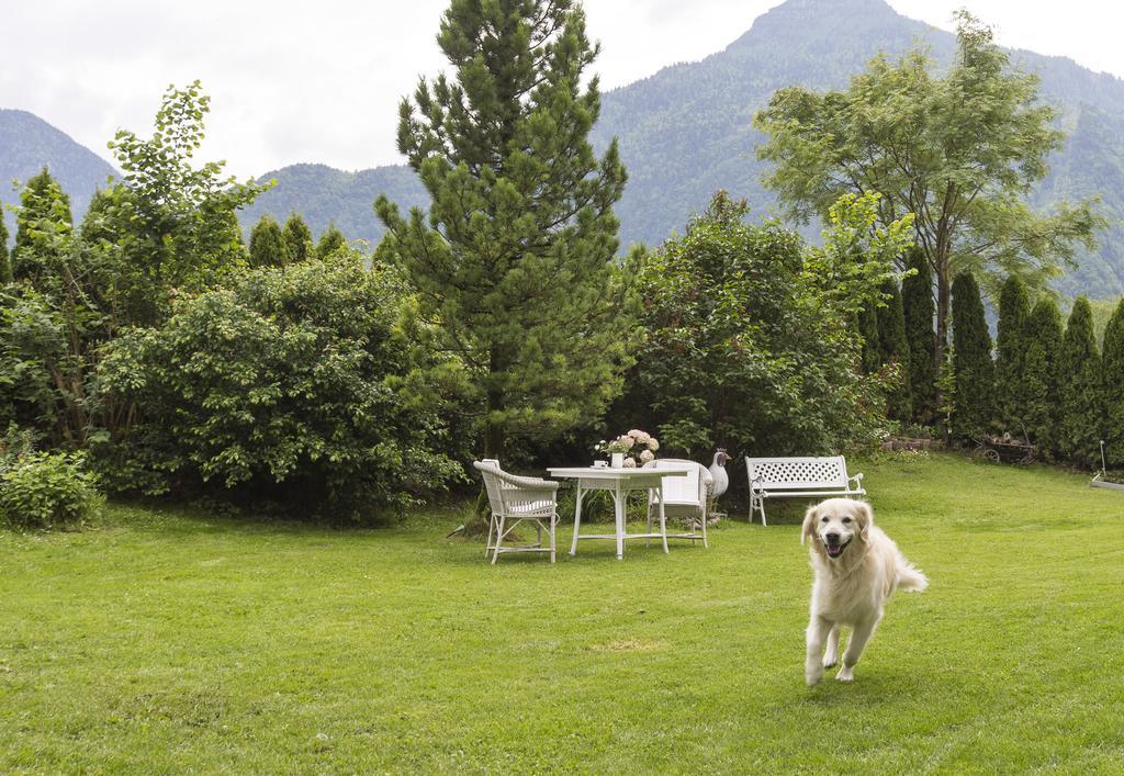 Forest Chalet, 15 Min To Salzburg Olt Town, And Most Beautiful Lakes, Secluded Location, 1,000 Sqm Garden, Mountainview, Panorama Sauna, Bath Whirlpool, Bbq&Bikes&Sunbeds For Free, Up To 10 P Golling an der Salzach Exterior photo