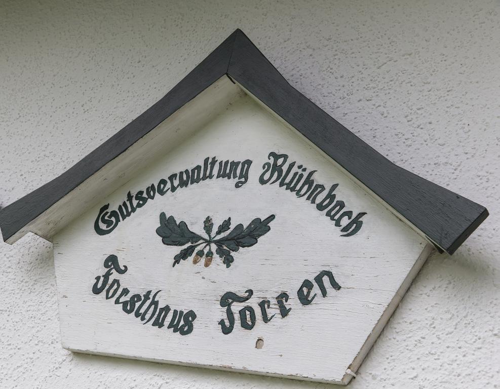 Forest Chalet, 15 Min To Salzburg Olt Town, And Most Beautiful Lakes, Secluded Location, 1,000 Sqm Garden, Mountainview, Panorama Sauna, Bath Whirlpool, Bbq&Bikes&Sunbeds For Free, Up To 10 P Golling an der Salzach Exterior photo