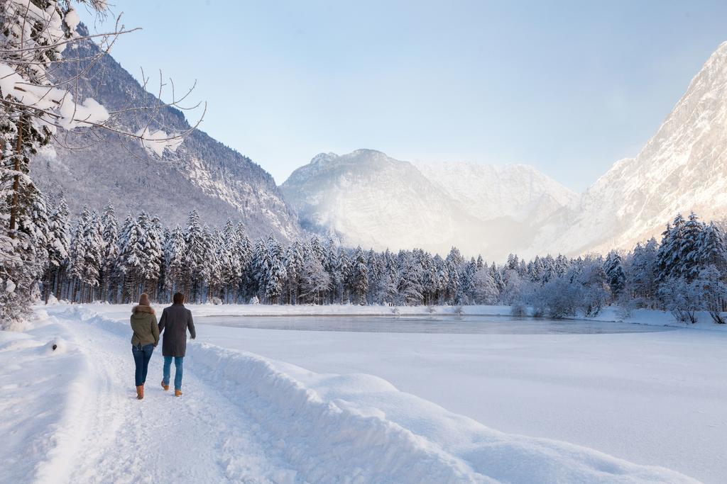 Forest Chalet, 15 Min To Salzburg Olt Town, And Most Beautiful Lakes, Secluded Location, 1,000 Sqm Garden, Mountainview, Panorama Sauna, Bath Whirlpool, Bbq&Bikes&Sunbeds For Free, Up To 10 P Golling an der Salzach Exterior photo