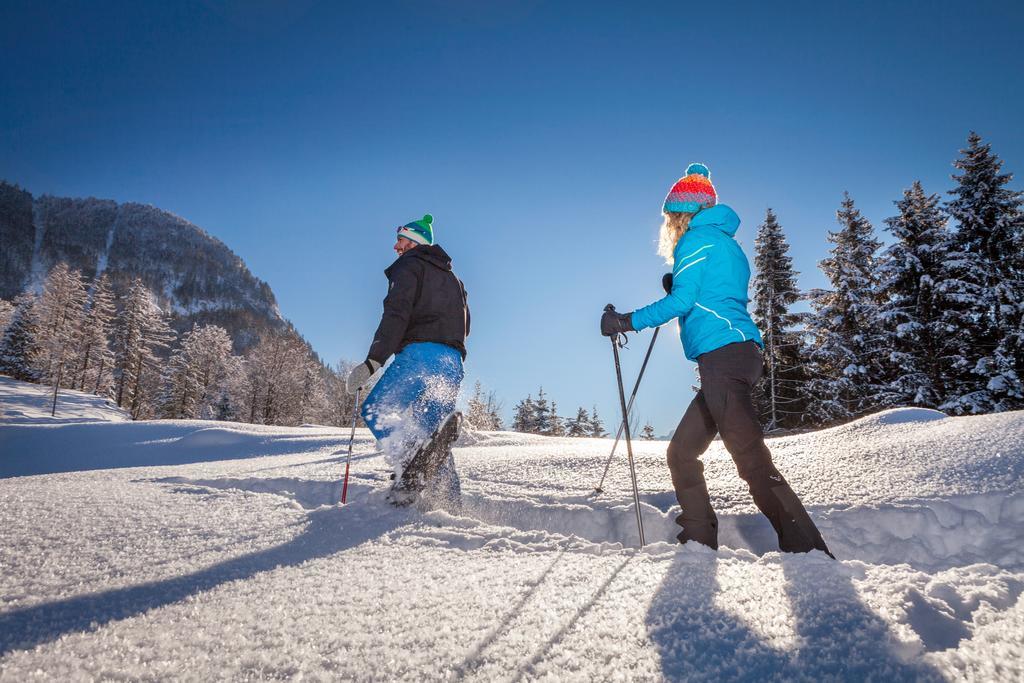 Forest Chalet, 15 Min To Salzburg Olt Town, And Most Beautiful Lakes, Secluded Location, 1,000 Sqm Garden, Mountainview, Panorama Sauna, Bath Whirlpool, Bbq&Bikes&Sunbeds For Free, Up To 10 P Golling an der Salzach Exterior photo