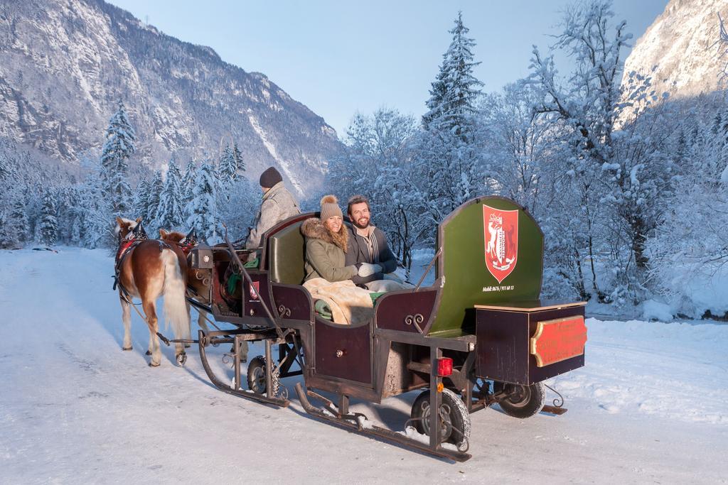 Forest Chalet, 15 Min To Salzburg Olt Town, And Most Beautiful Lakes, Secluded Location, 1,000 Sqm Garden, Mountainview, Panorama Sauna, Bath Whirlpool, Bbq&Bikes&Sunbeds For Free, Up To 10 P Golling an der Salzach Exterior photo