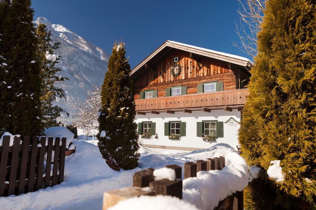 Forest Chalet, 15 Min To Salzburg Olt Town, And Most Beautiful Lakes, Secluded Location, 1,000 Sqm Garden, Mountainview, Panorama Sauna, Bath Whirlpool, Bbq&Bikes&Sunbeds For Free, Up To 10 P Golling an der Salzach Exterior photo