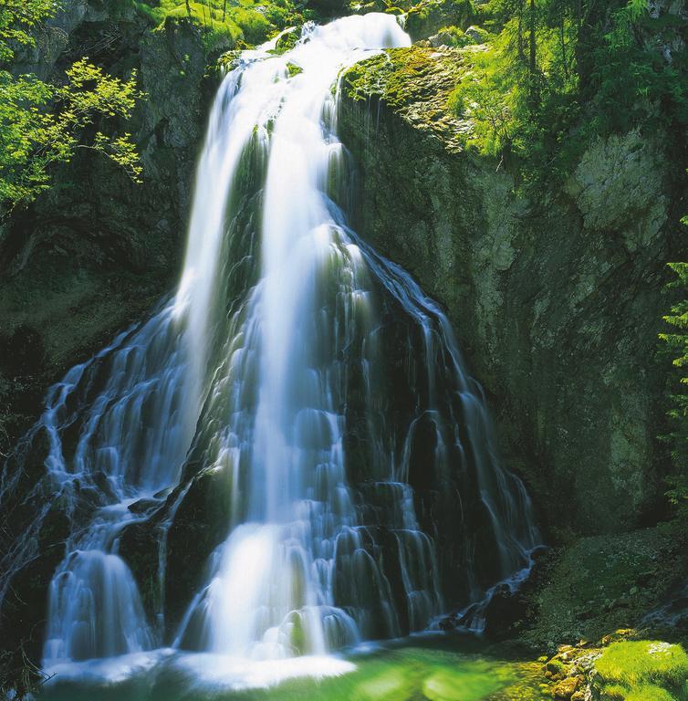 Forest Chalet, 15 Min To Salzburg Olt Town, And Most Beautiful Lakes, Secluded Location, 1,000 Sqm Garden, Mountainview, Panorama Sauna, Bath Whirlpool, Bbq&Bikes&Sunbeds For Free, Up To 10 P Golling an der Salzach Exterior photo