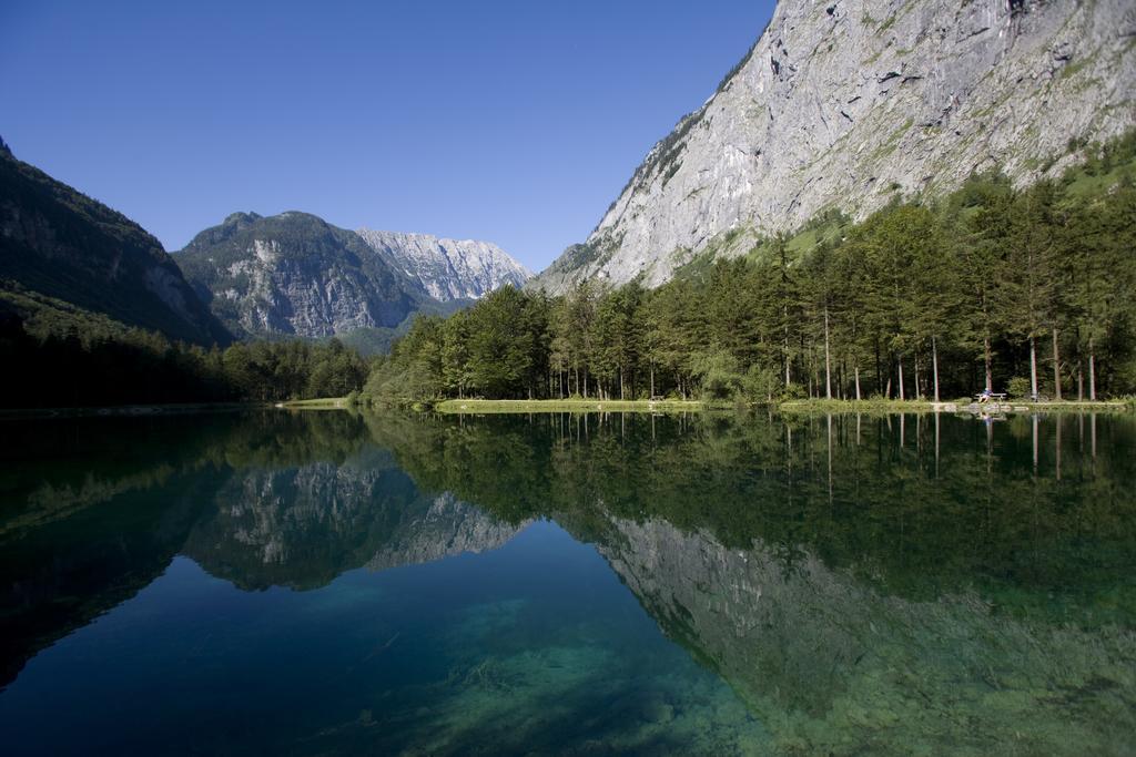 Forest Chalet, 15 Min To Salzburg Olt Town, And Most Beautiful Lakes, Secluded Location, 1,000 Sqm Garden, Mountainview, Panorama Sauna, Bath Whirlpool, Bbq&Bikes&Sunbeds For Free, Up To 10 P Golling an der Salzach Exterior photo